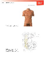 Sobotta  Atlas of Human Anatomy  Trunk, Viscera,Lower Limb Volume2 2006, page 74